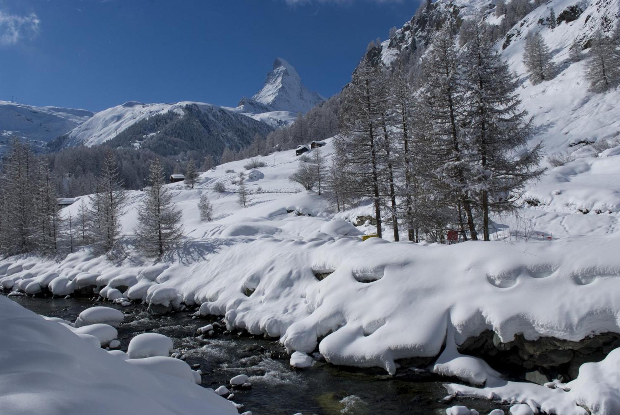 Hotel Garni Testa Grigia Zermatt Exterior photo