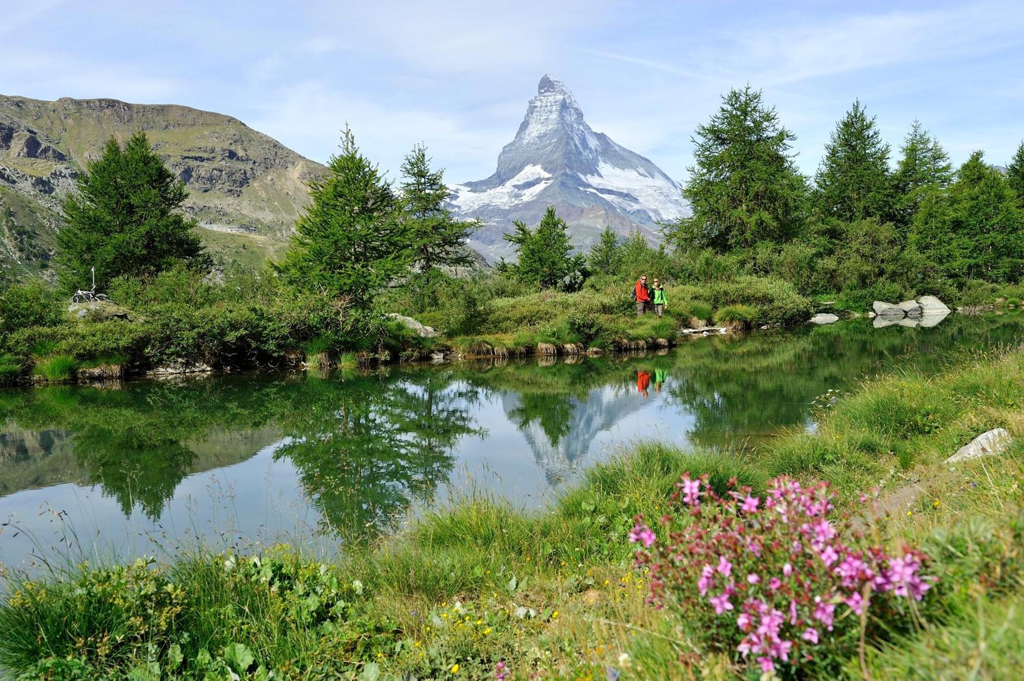 Hotel Garni Testa Grigia Zermatt Exterior photo